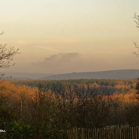 B&B Linfinity Baillonville